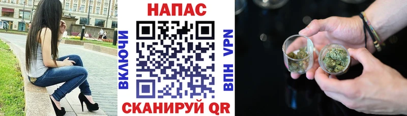 где купить наркоту Холм Шишки марихуана план